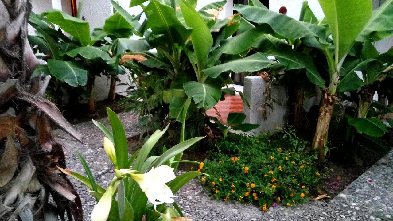 Oasis Hotel Bungalows Rhodes Афанту Екстериор снимка