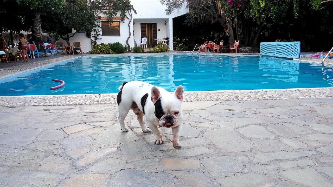 Oasis Hotel Bungalows Rhodes Афанту Екстериор снимка